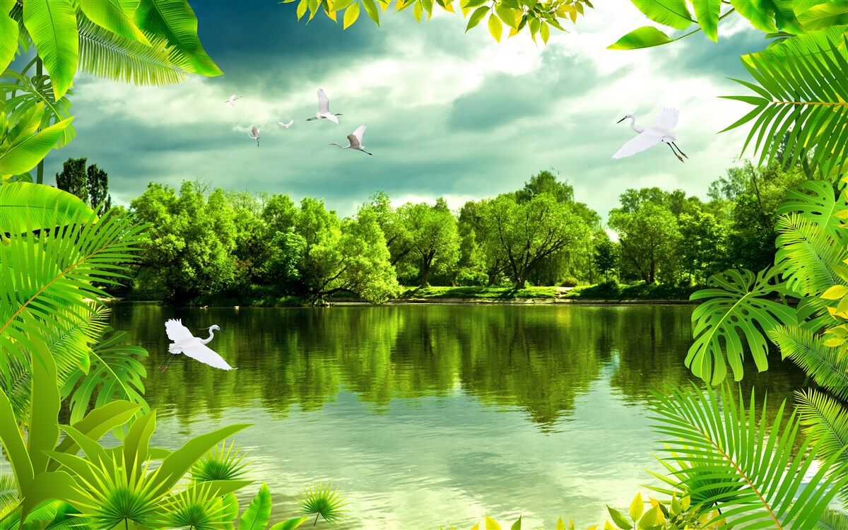 Fototapeta nádherné jazero v lese