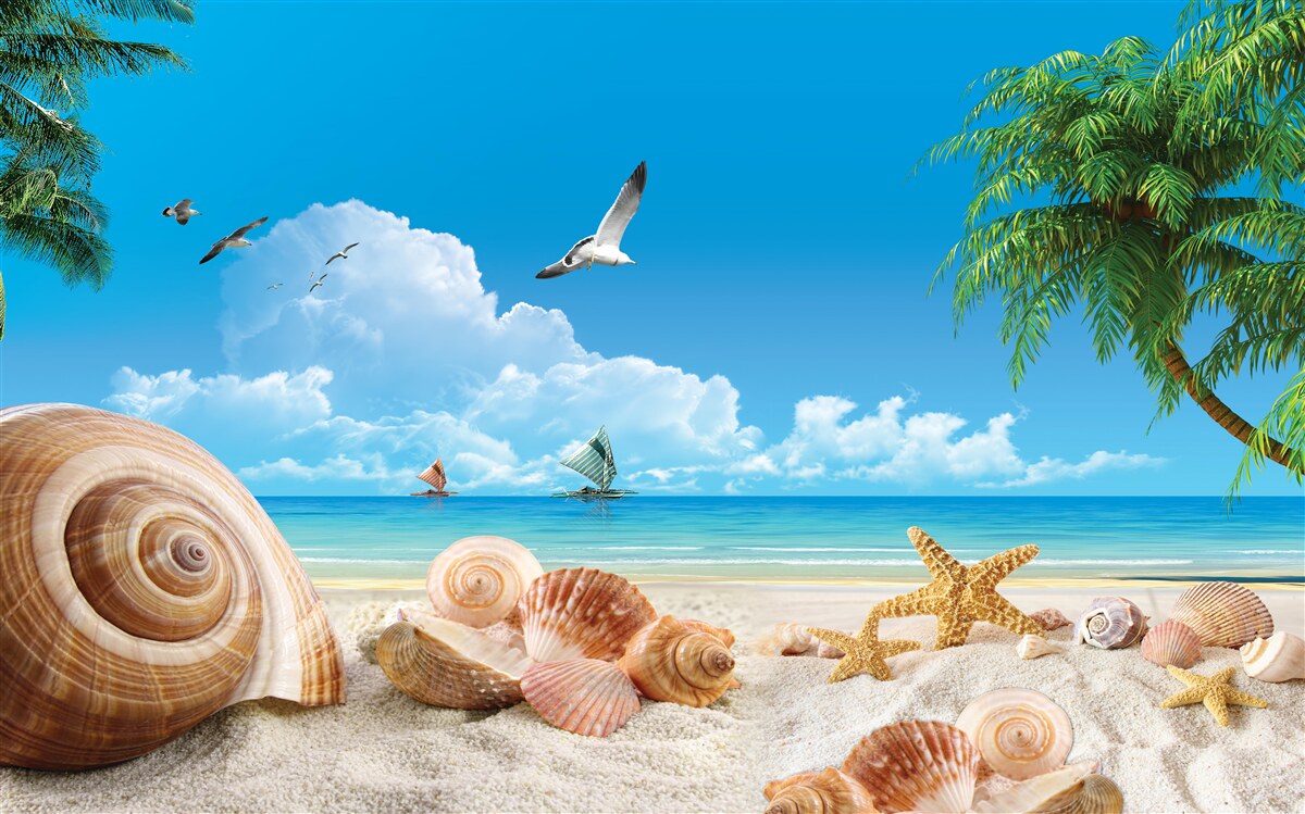 Fototapeta mušle na pobreží mora