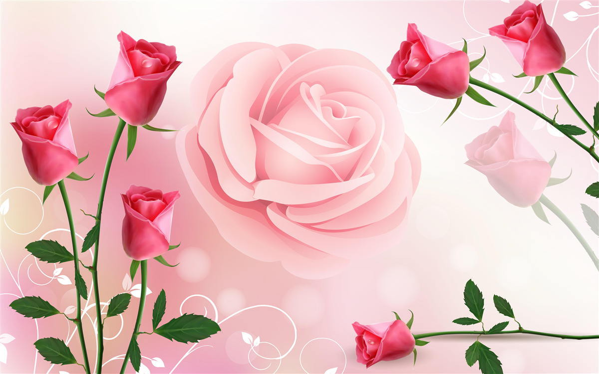 Fototapeta sada ružových púčikov ruží