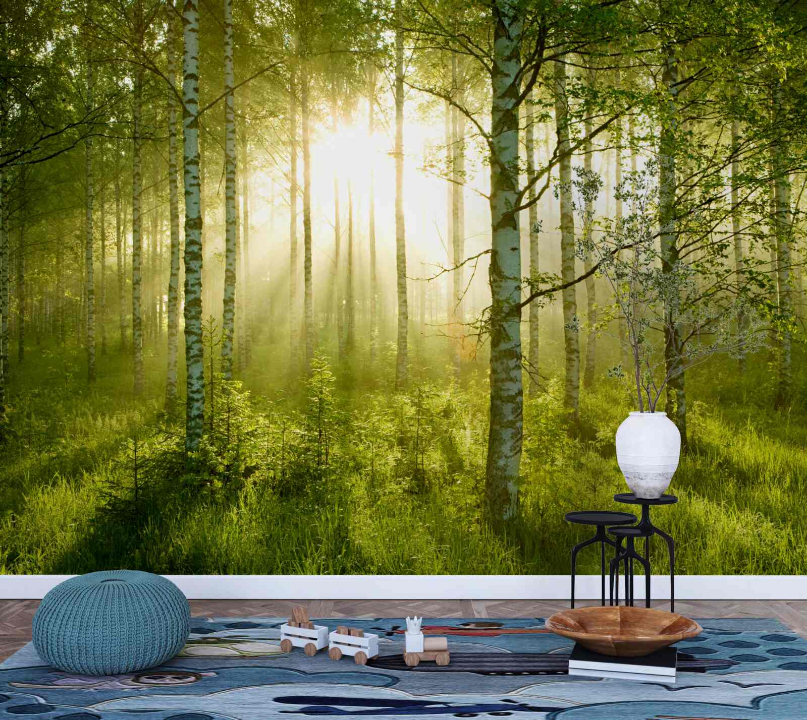 Fototapeta Svitanie v brezovom lese