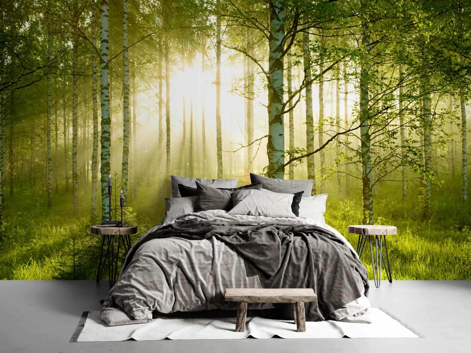 Fototapeta Svitanie v brezovom lese