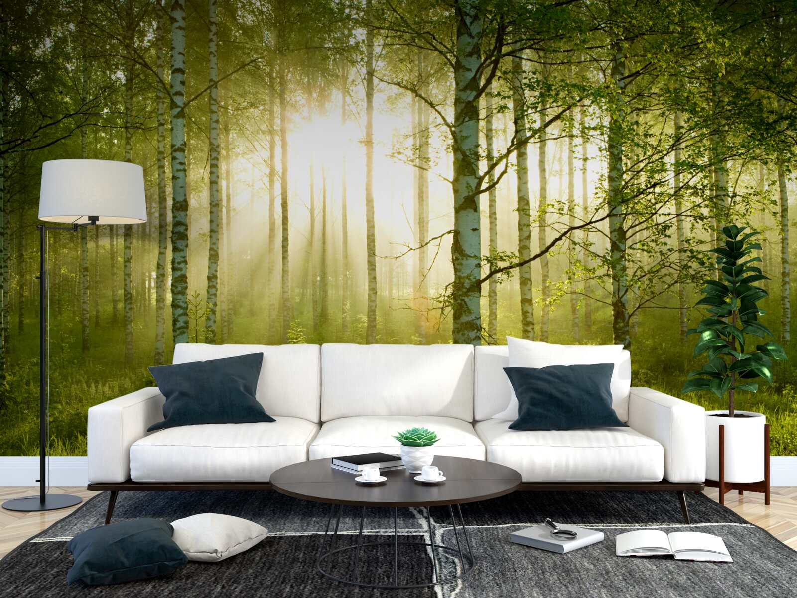 Fototapeta Svitanie v brezovom lese