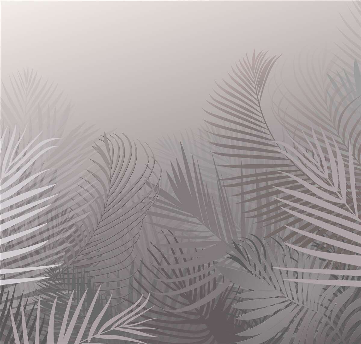 Fototapeta čas dymového úsvitu v tropickom pralese