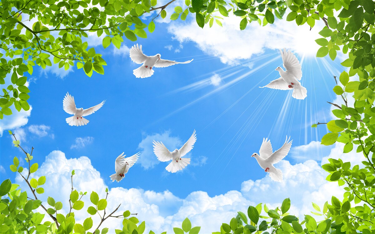 Fototapeta v zelenom ráme sa holuby vznášajú na modrej oblohe