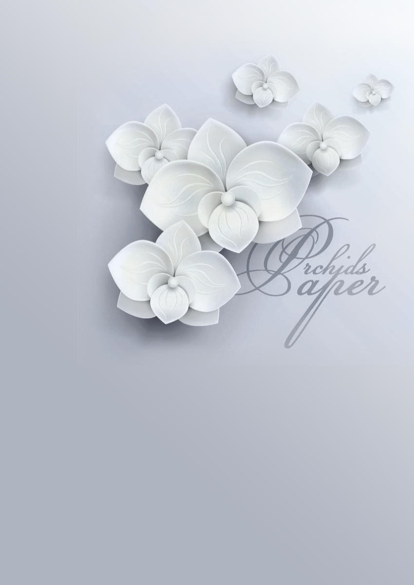 Fototapeta sivé pozadie zdobia biele orchidey