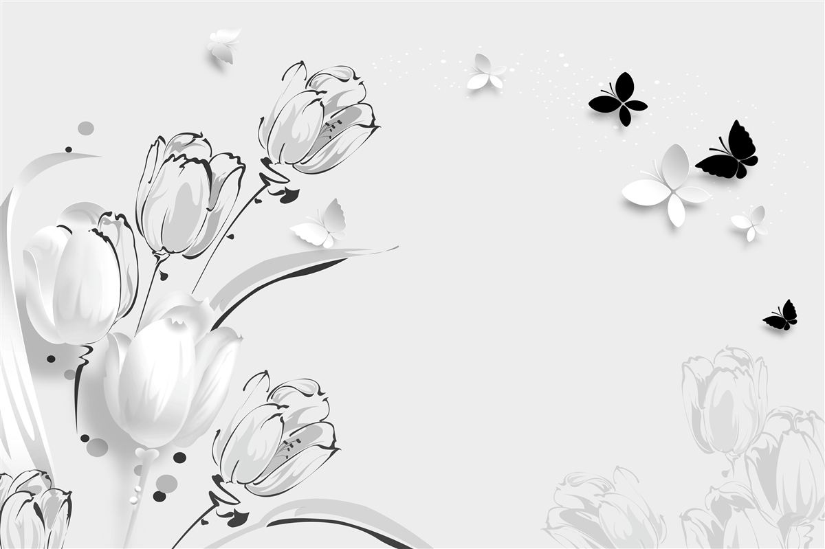 Fototapeta Snehovo biele tulipány a motýle