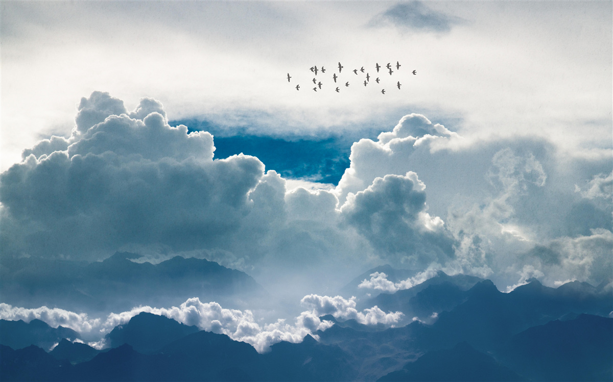 Fototapeta skupina vtákov nad hustými mrakmi