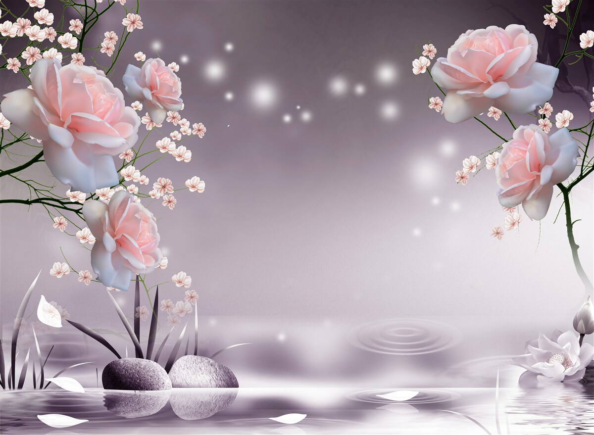 Fototapeta kvety otvárajúce sa nad vodnou hladinou