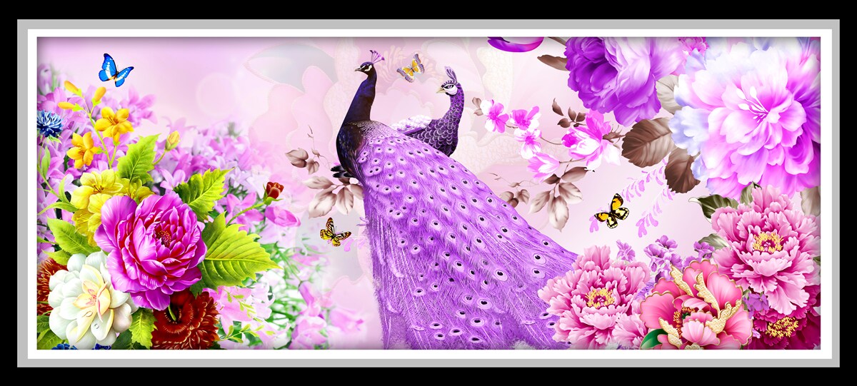 Fototapeta Medzi kvetmi sú dva fialové pávy