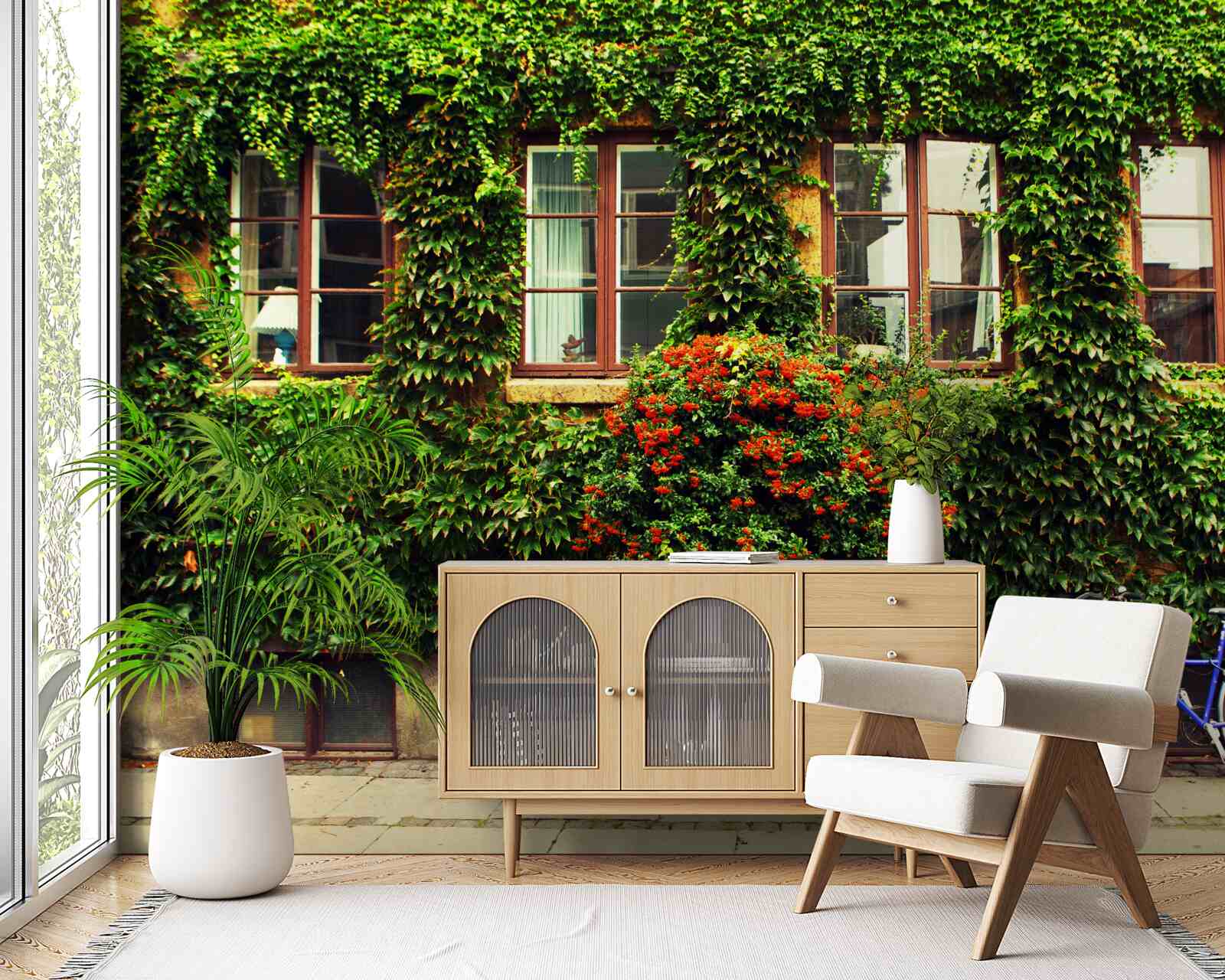 Fototapeta dom pokrytý brečtanom od staroby