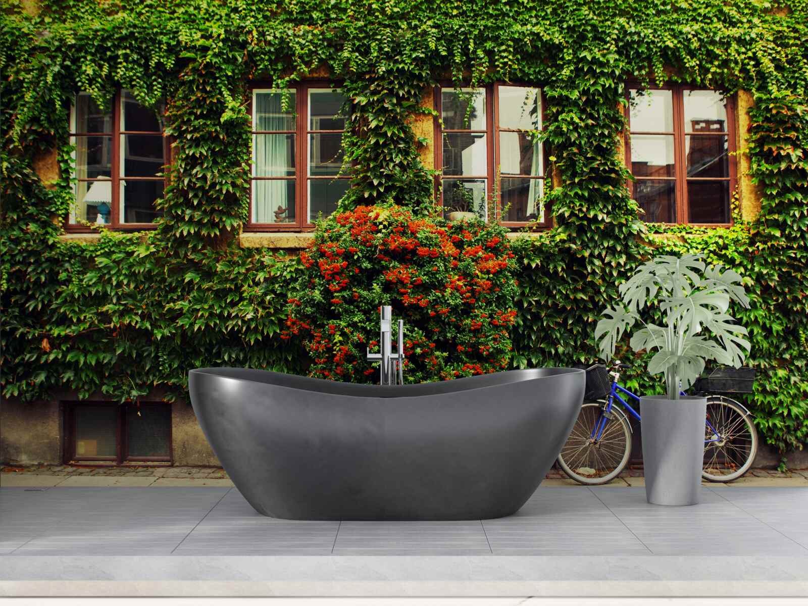 Fototapeta dom pokrytý brečtanom od staroby