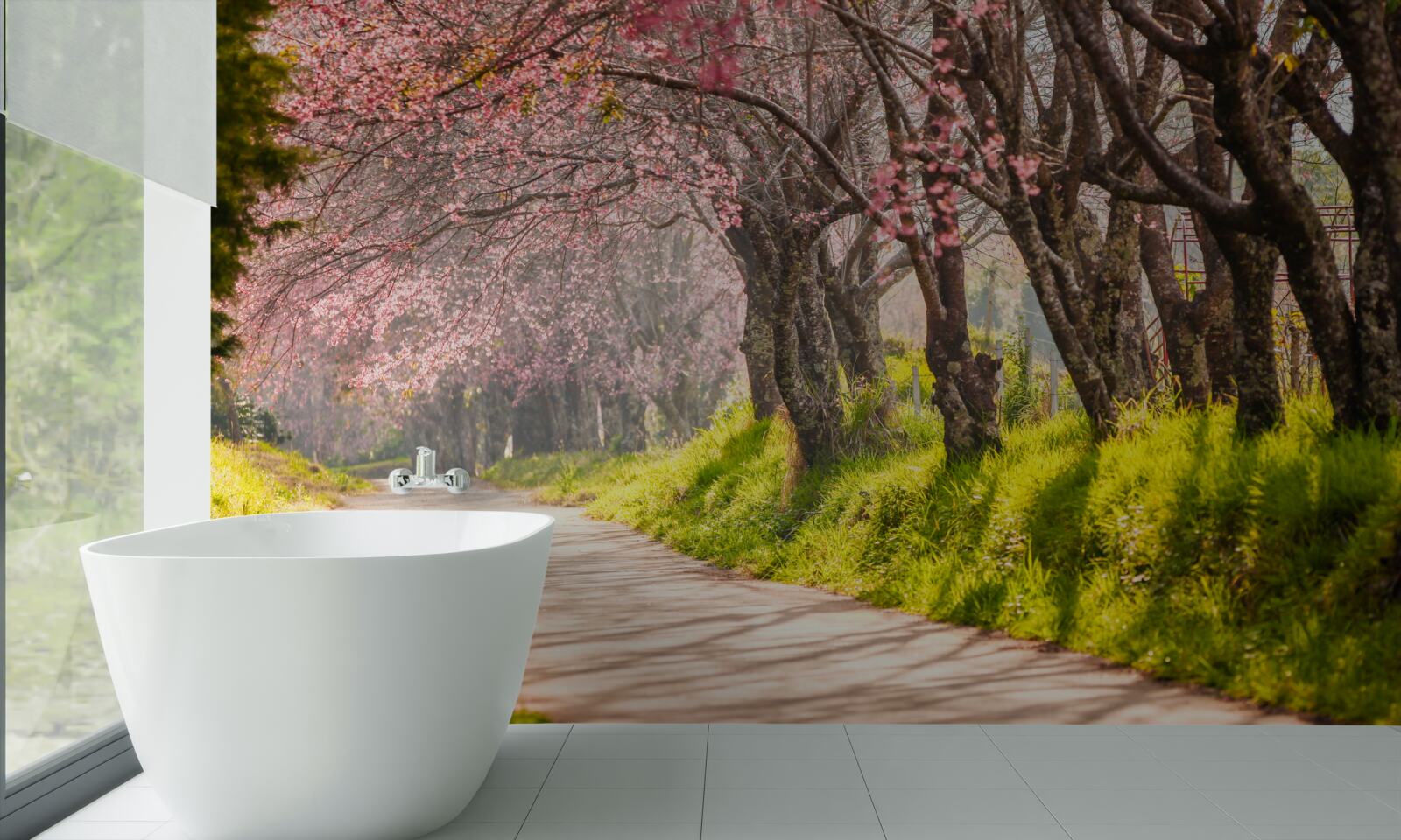 Fototapeta stromy kvitnúce pozdĺž tichej diaľnice