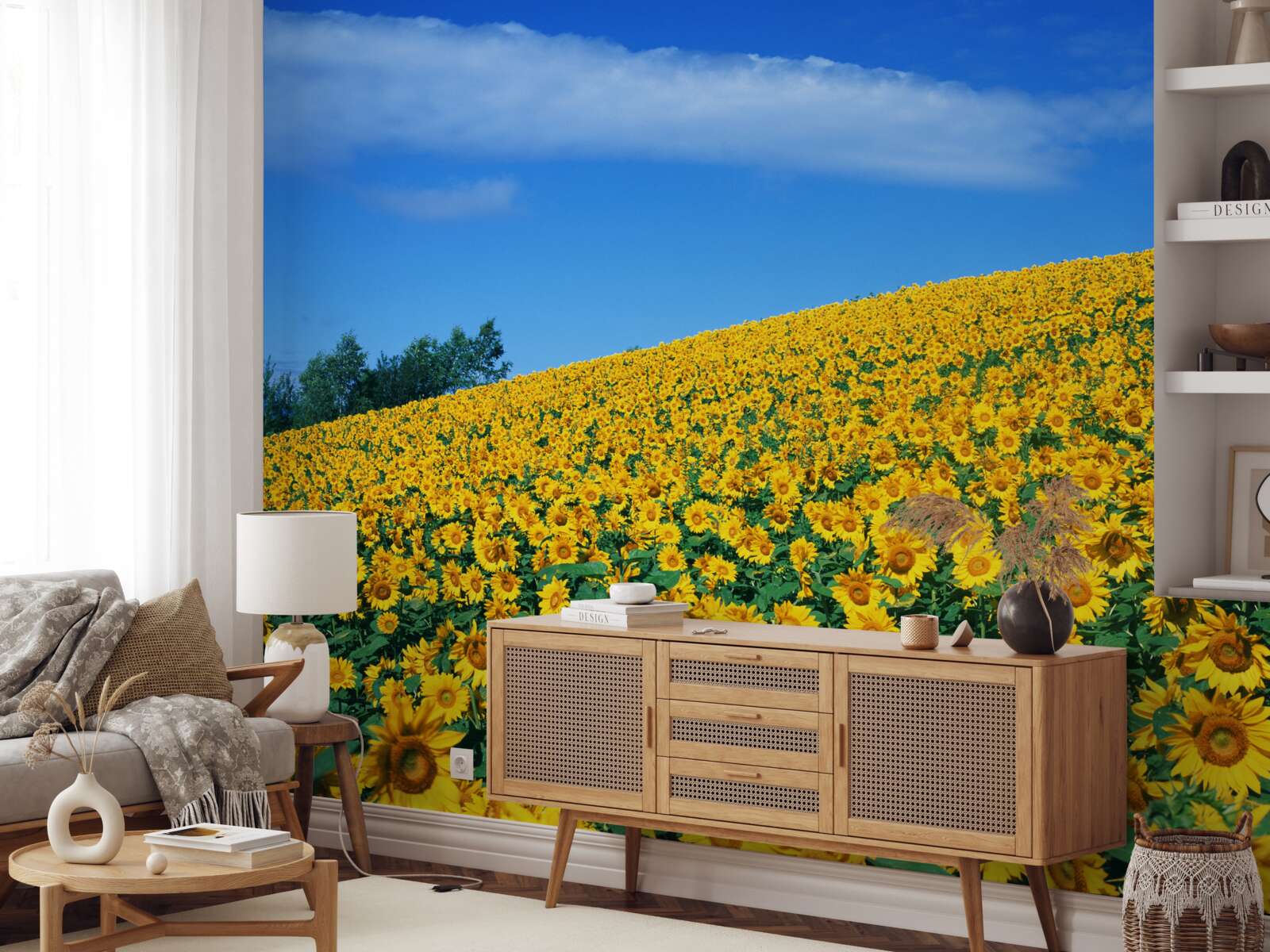 Fototapeta Skvelý priestor so slnečnicami