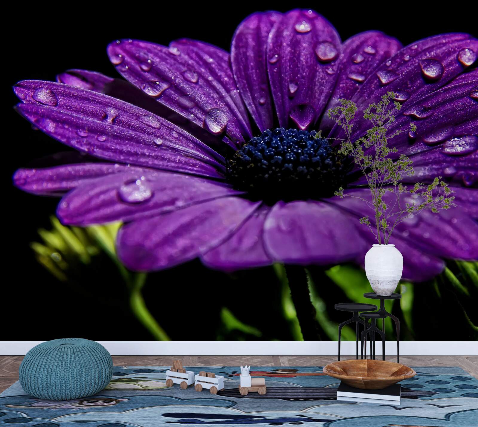 Fototapeta kvapky vody na fialovom kvete gerbery