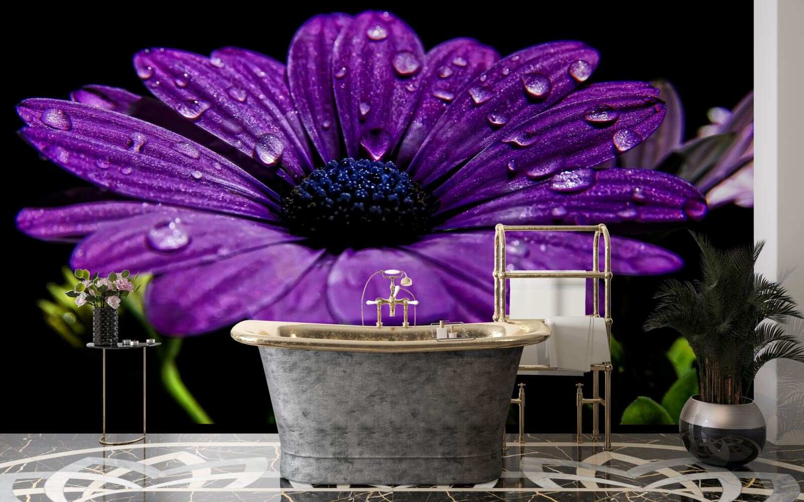 Fototapeta kvapky vody na fialovom kvete gerbery