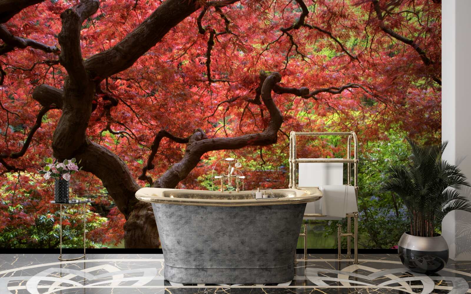 Fototapeta Japonský javor pri rybníku na jeseň