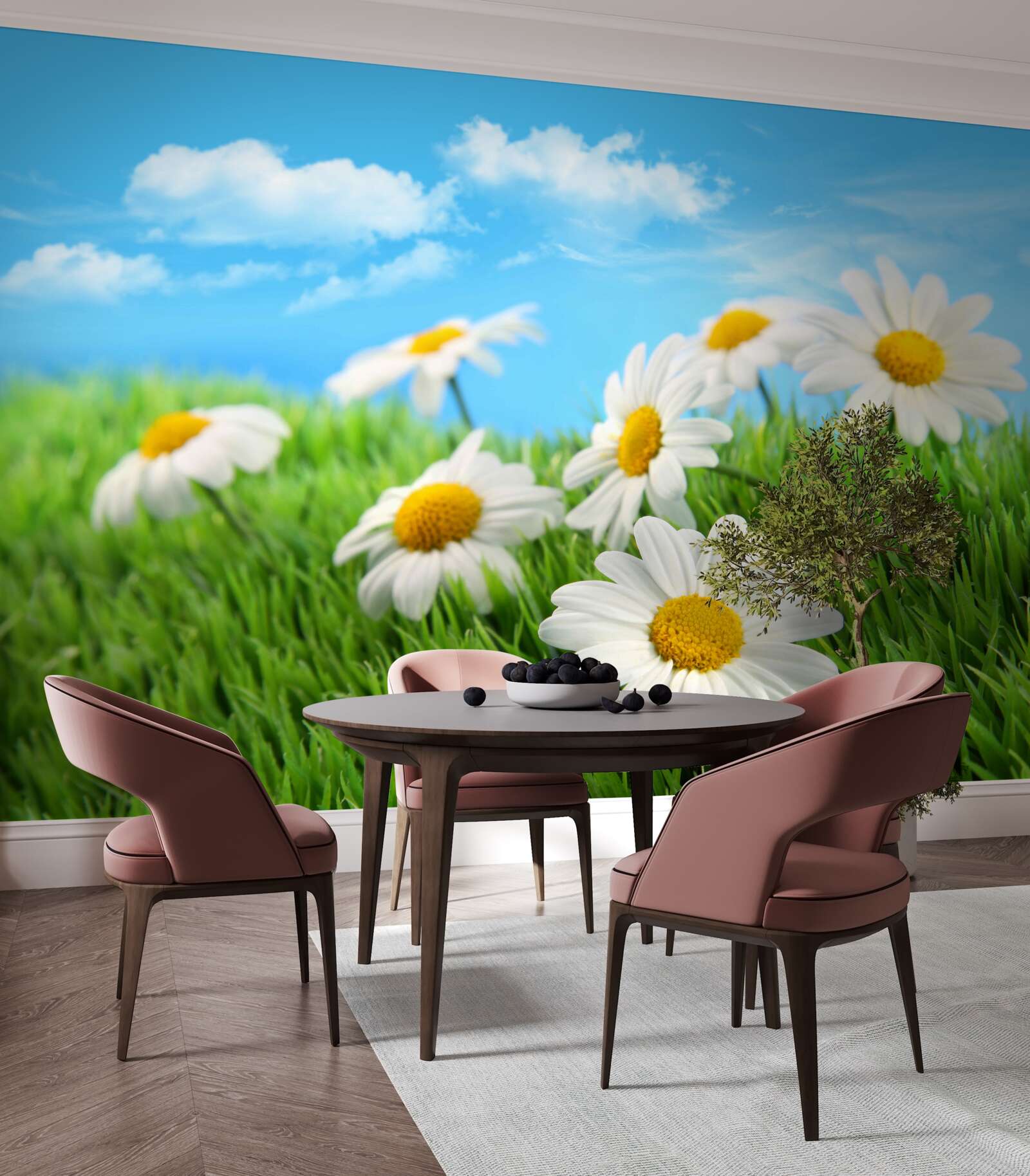 Fototapeta Snehobiele sedmokrásky z lúk