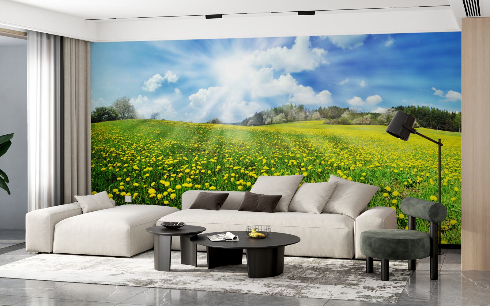 Fototapeta púpavový priestor