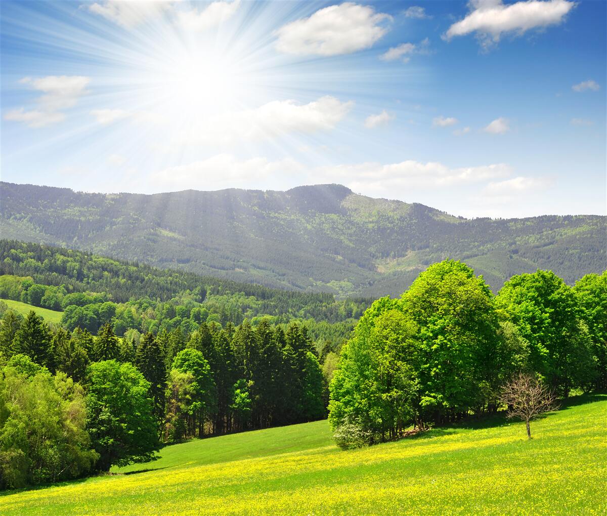 Fototapeta slnko je na najvyššom bode nad zelenou lúkou