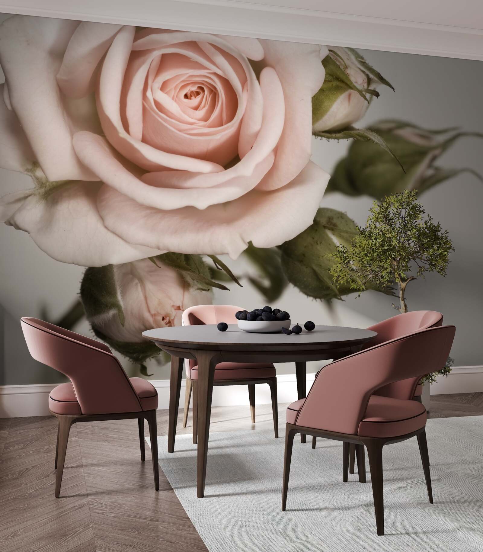 Fototapeta ruža v odtieni púdrovej ružovej a jej kvetné puky