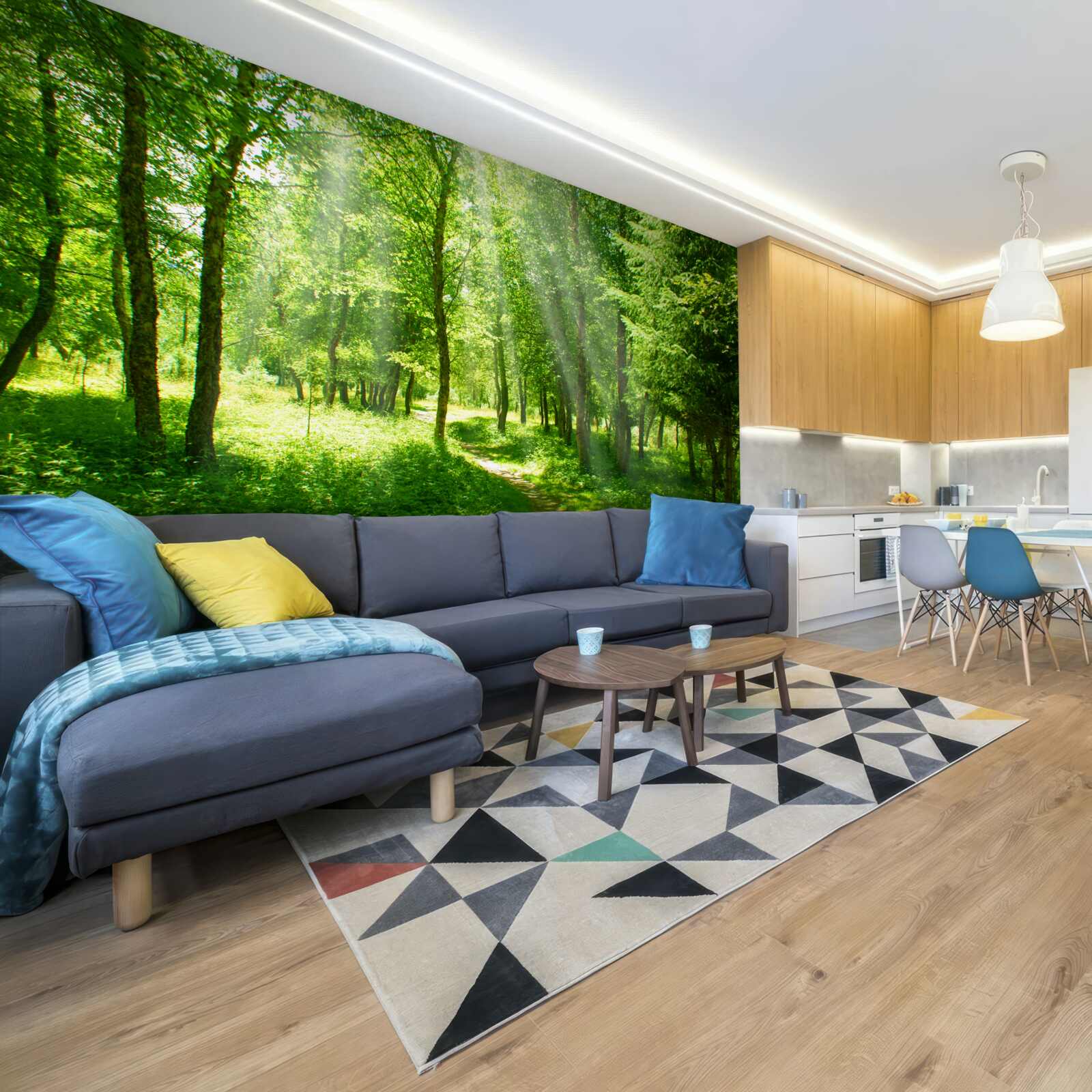 Fototapeta slnečné lúče prenikajú jasne cez koruny lesných stromov