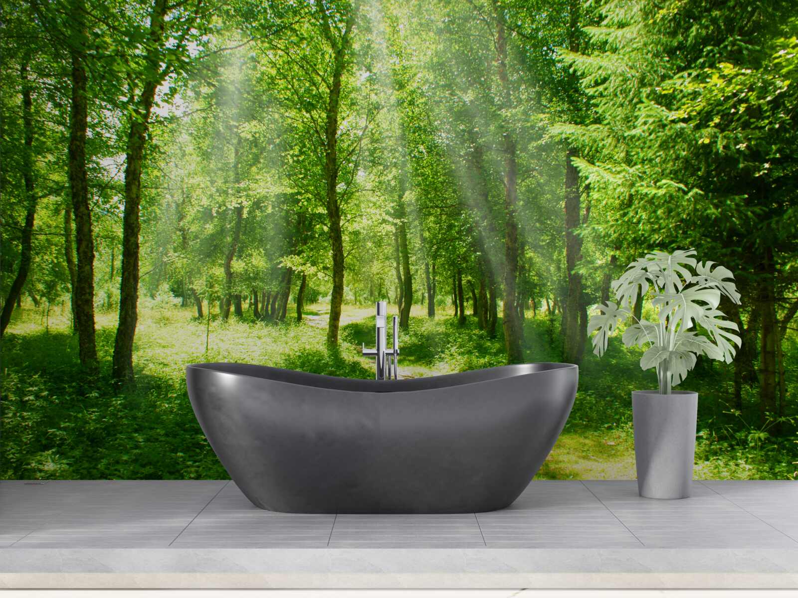 Fototapeta slnečné lúče prenikajú jasne cez koruny lesných stromov