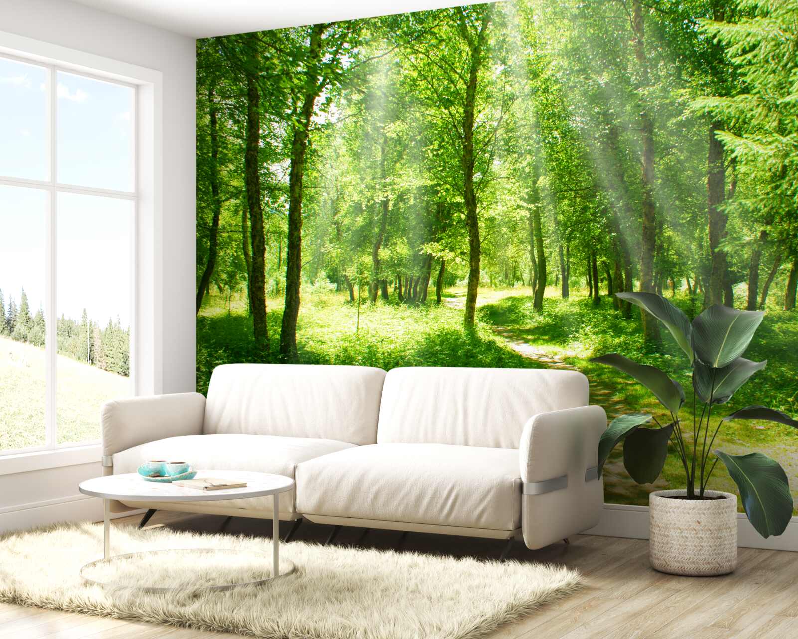 Fototapeta slnečné lúče prenikajú jasne cez koruny lesných stromov