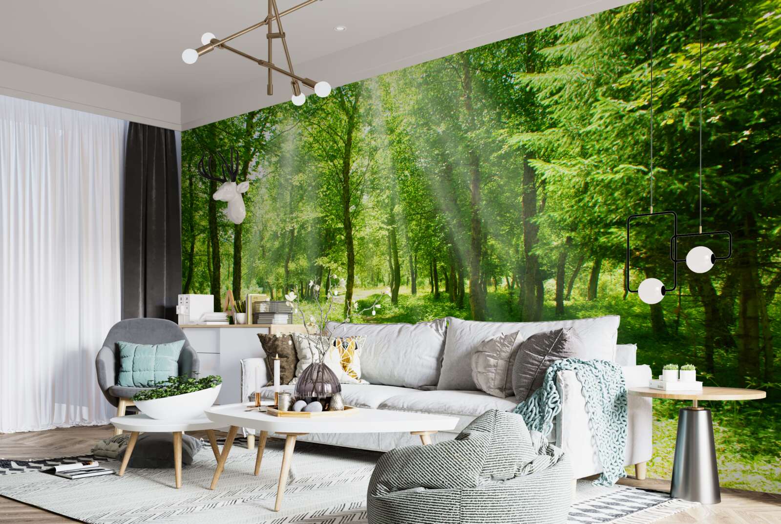 Fototapeta slnečné lúče prenikajú jasne cez koruny lesných stromov