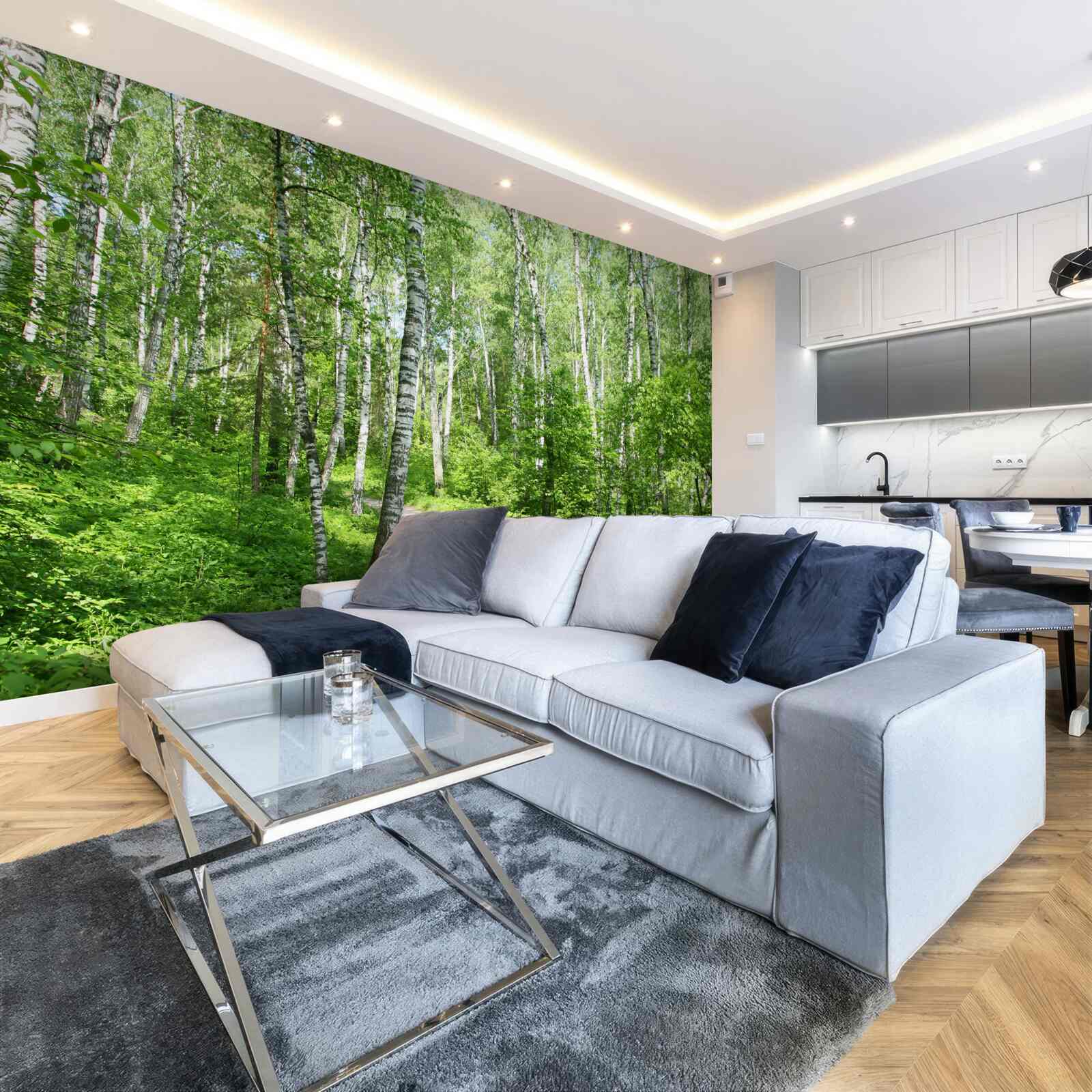 Fototapeta Cesta cez brezový les v letnej sezóne