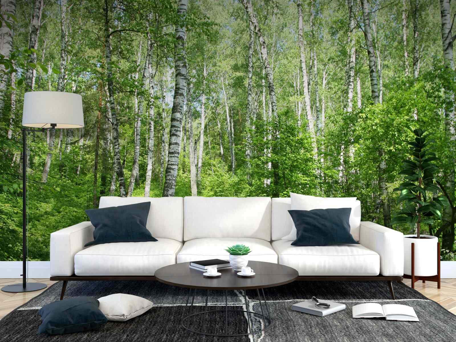 Fototapeta Cesta cez brezový les v letnej sezóne