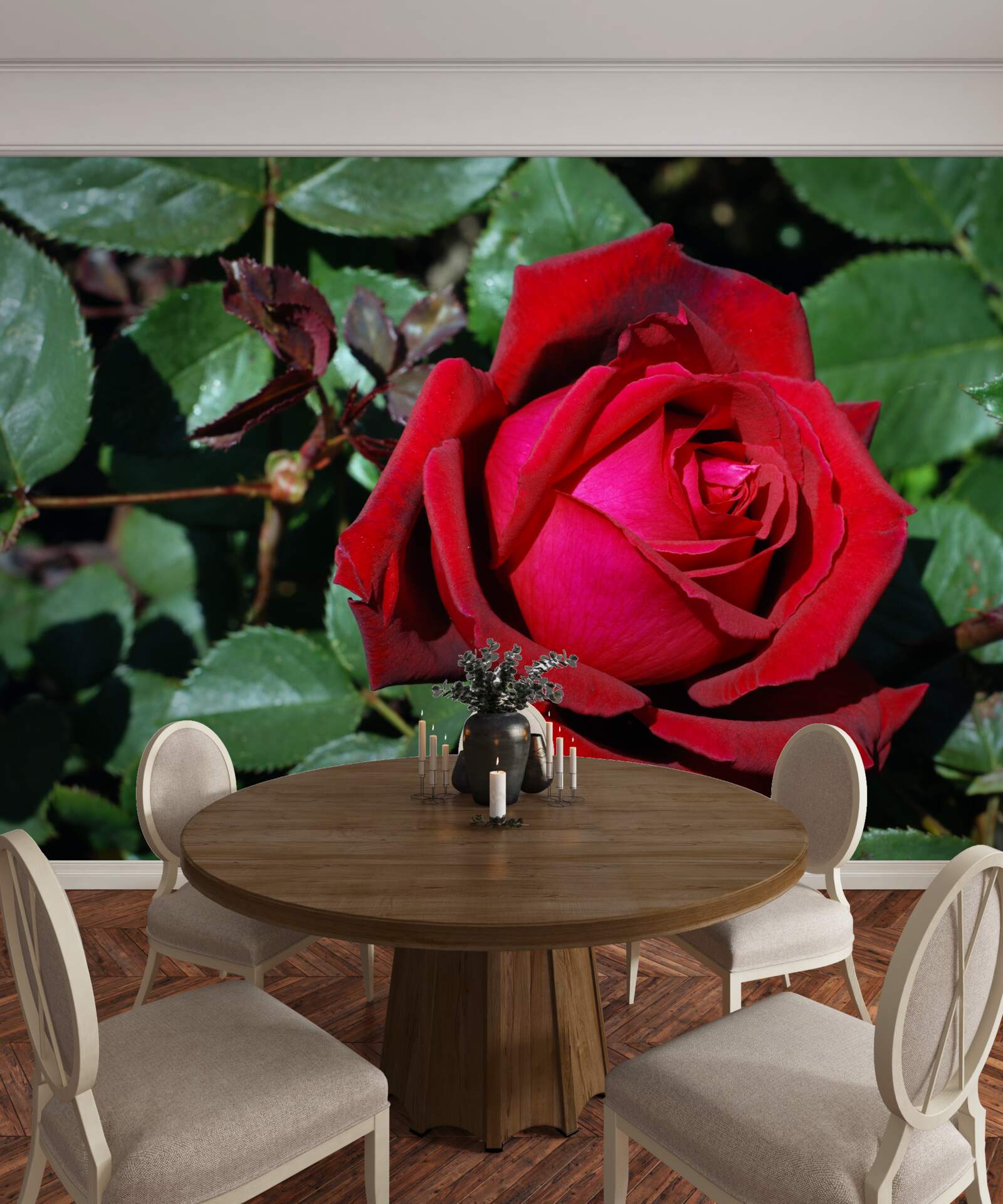 Fototapeta v záhrade kvitla šarlátová ruža