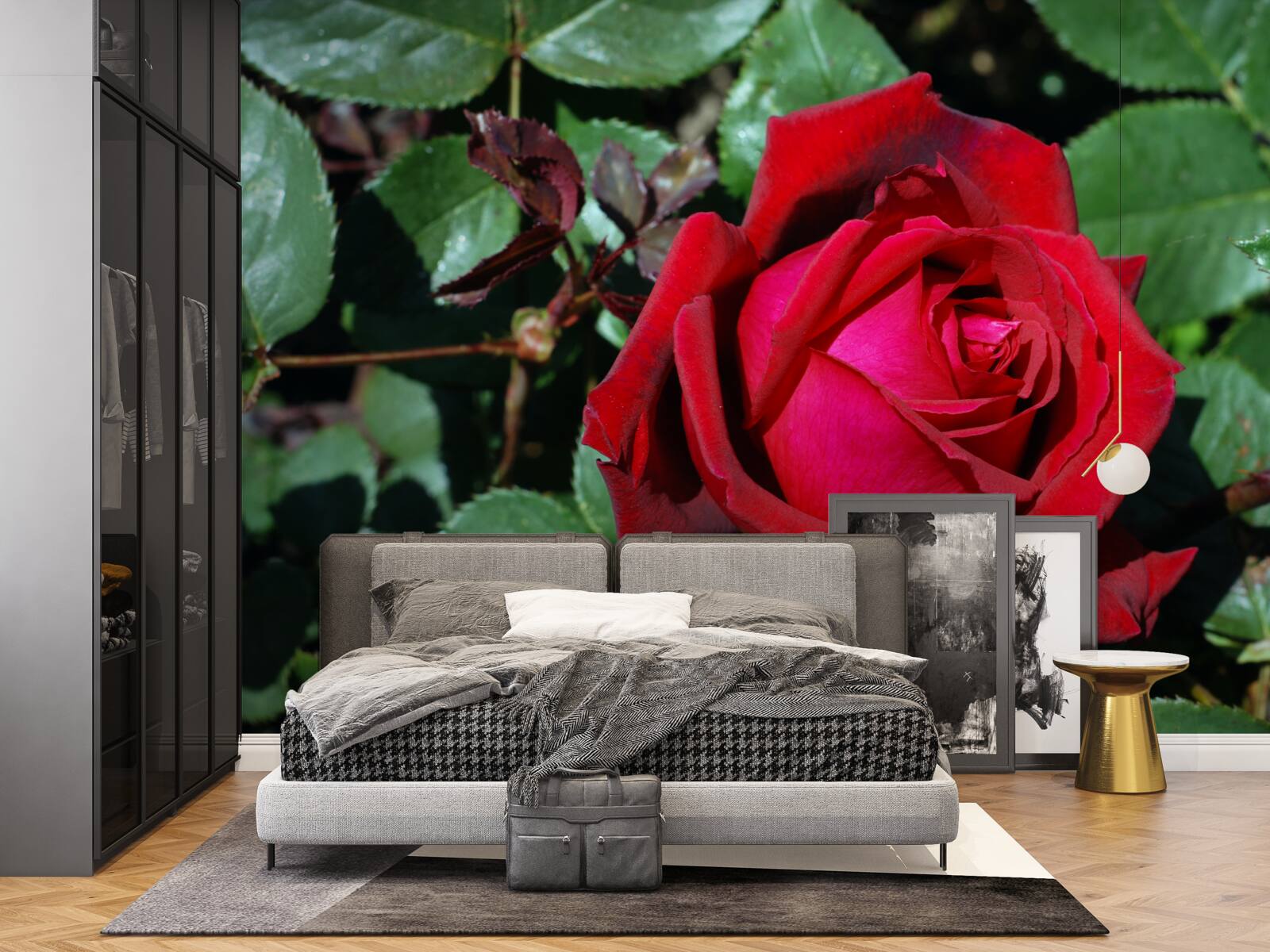 Fototapeta v záhrade kvitla šarlátová ruža