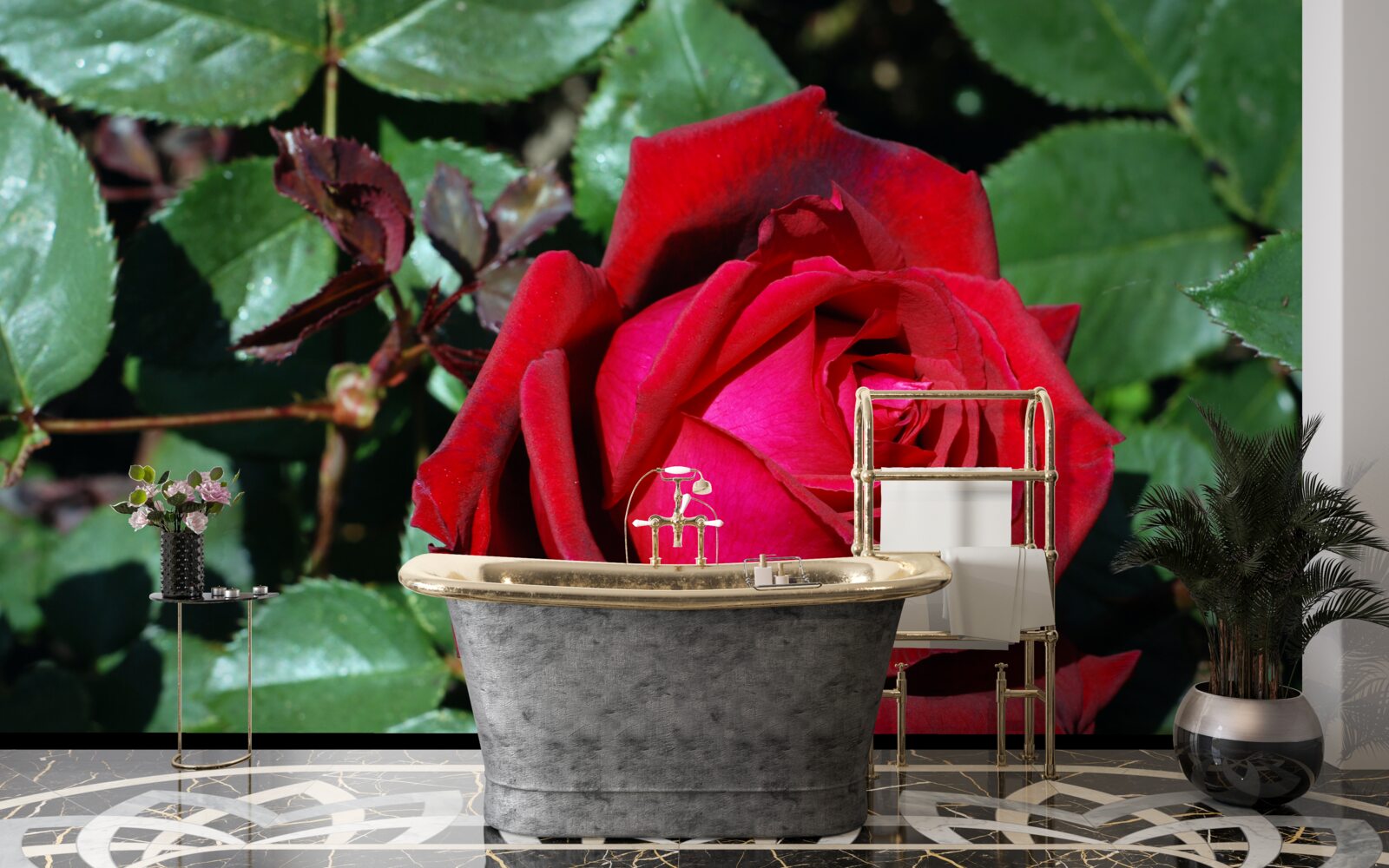 Fototapeta v záhrade kvitla šarlátová ruža