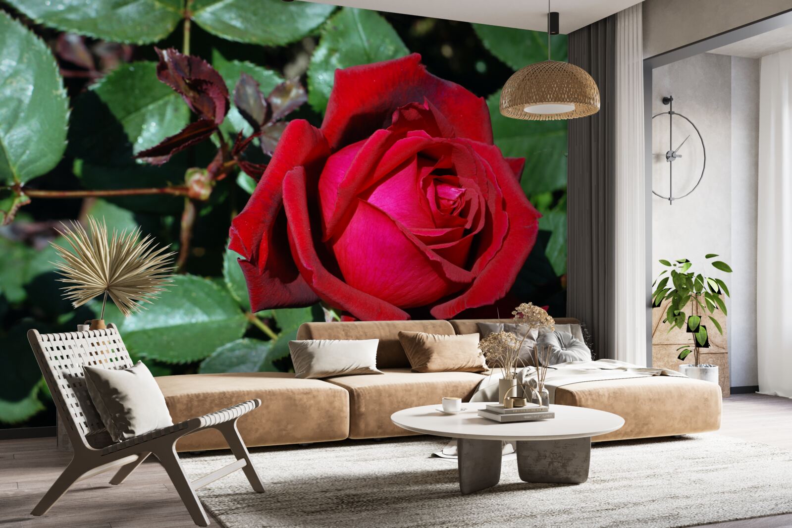 Fototapeta v záhrade kvitla šarlátová ruža