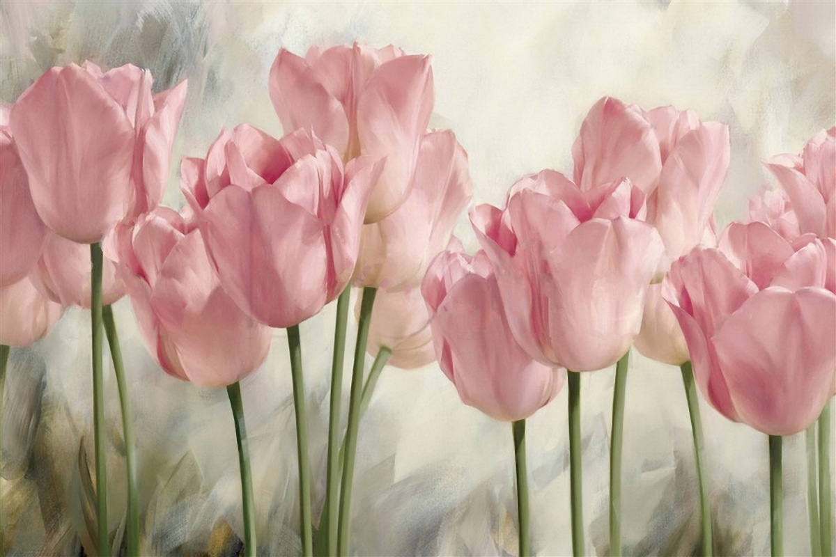 Fototapeta jemné ružové tulipány