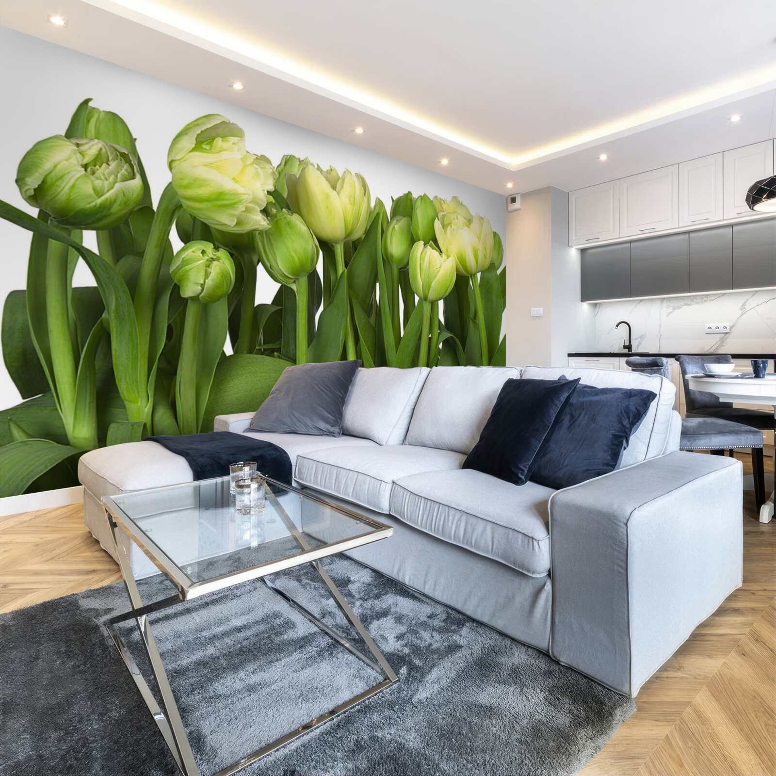 Fototapeta sada čiastočne otvorených svetlých tulipánov