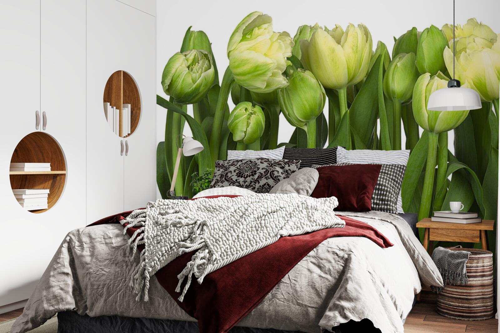 Fototapeta sada čiastočne otvorených svetlých tulipánov