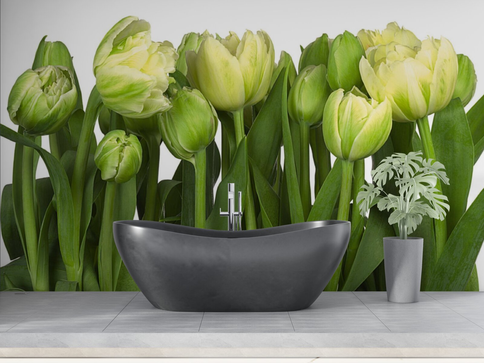 Fototapeta sada čiastočne otvorených svetlých tulipánov