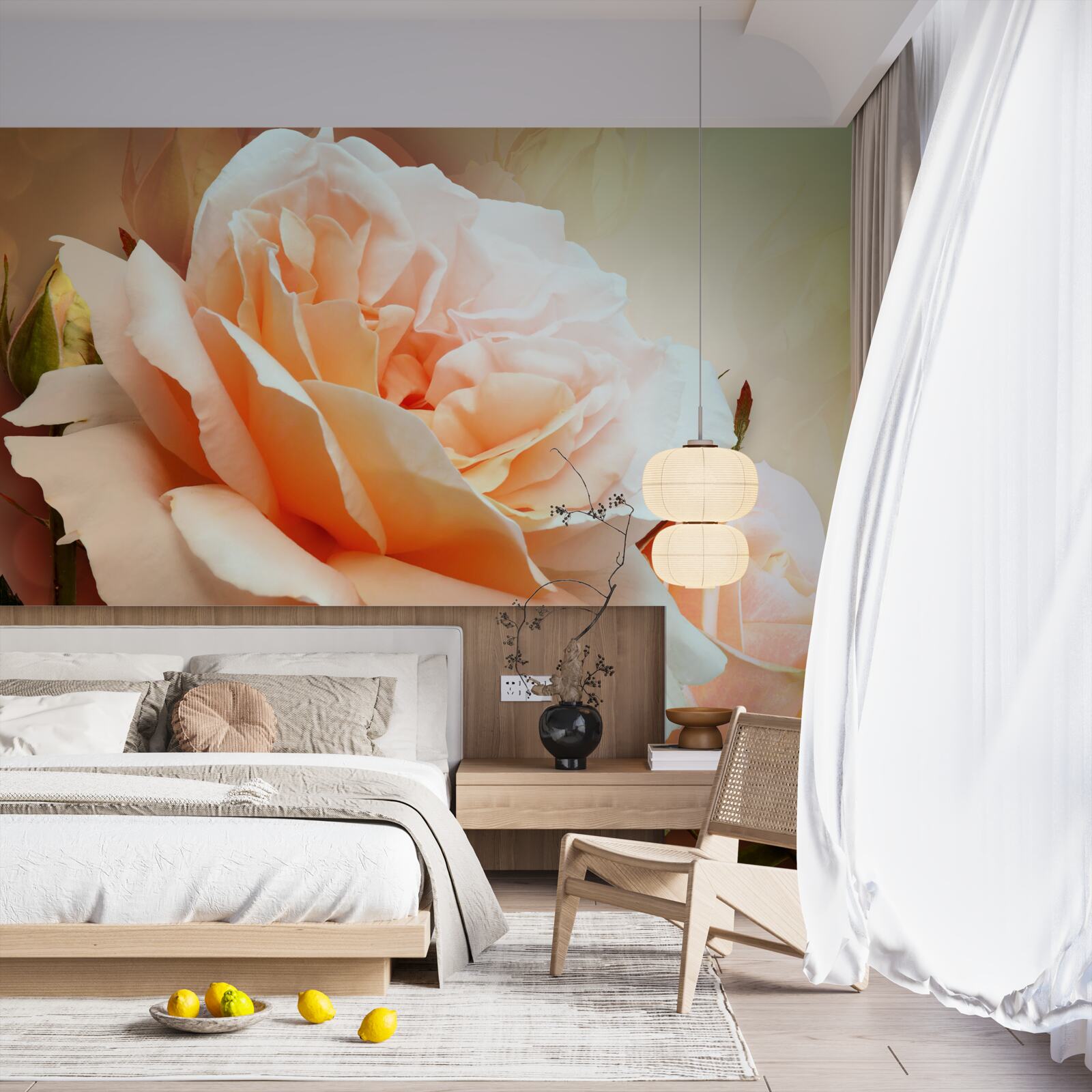 Fototapeta ruže, ktoré sa otvorili a sú vo fáze púčikov