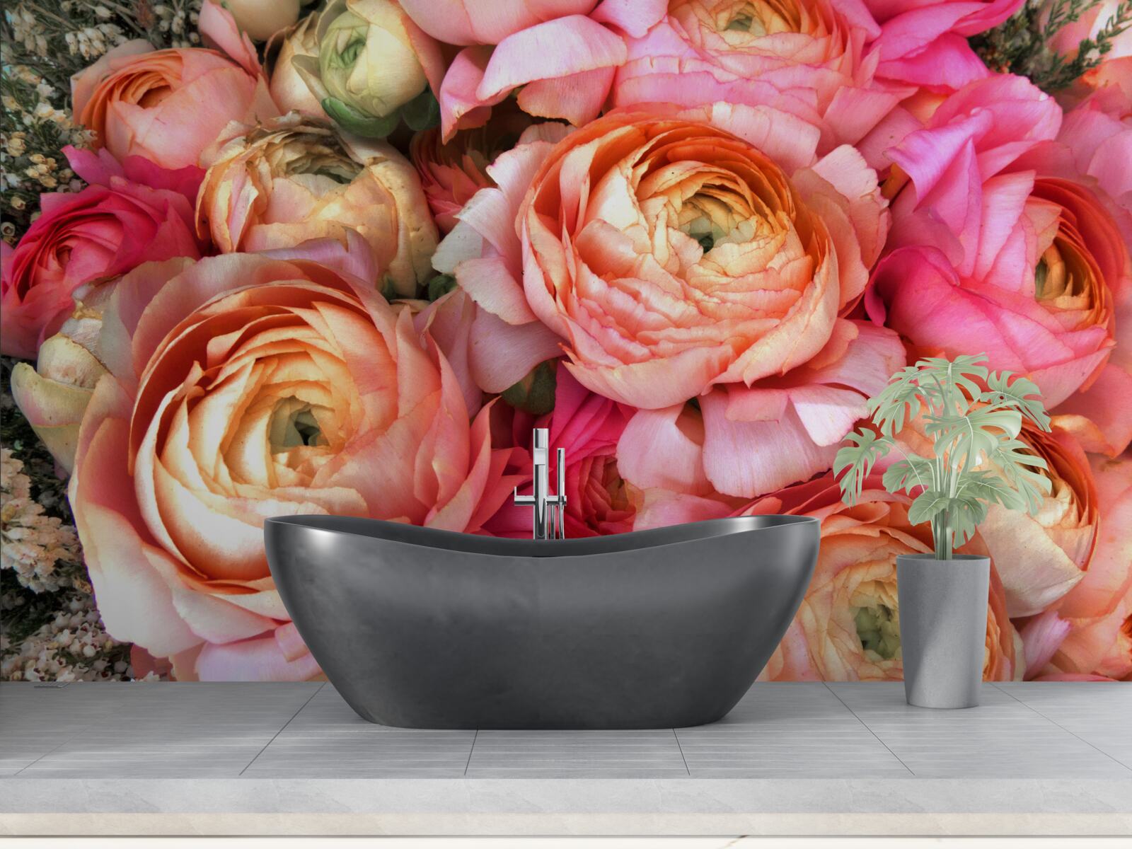 Fototapeta pivonky so širokou škálou farieb