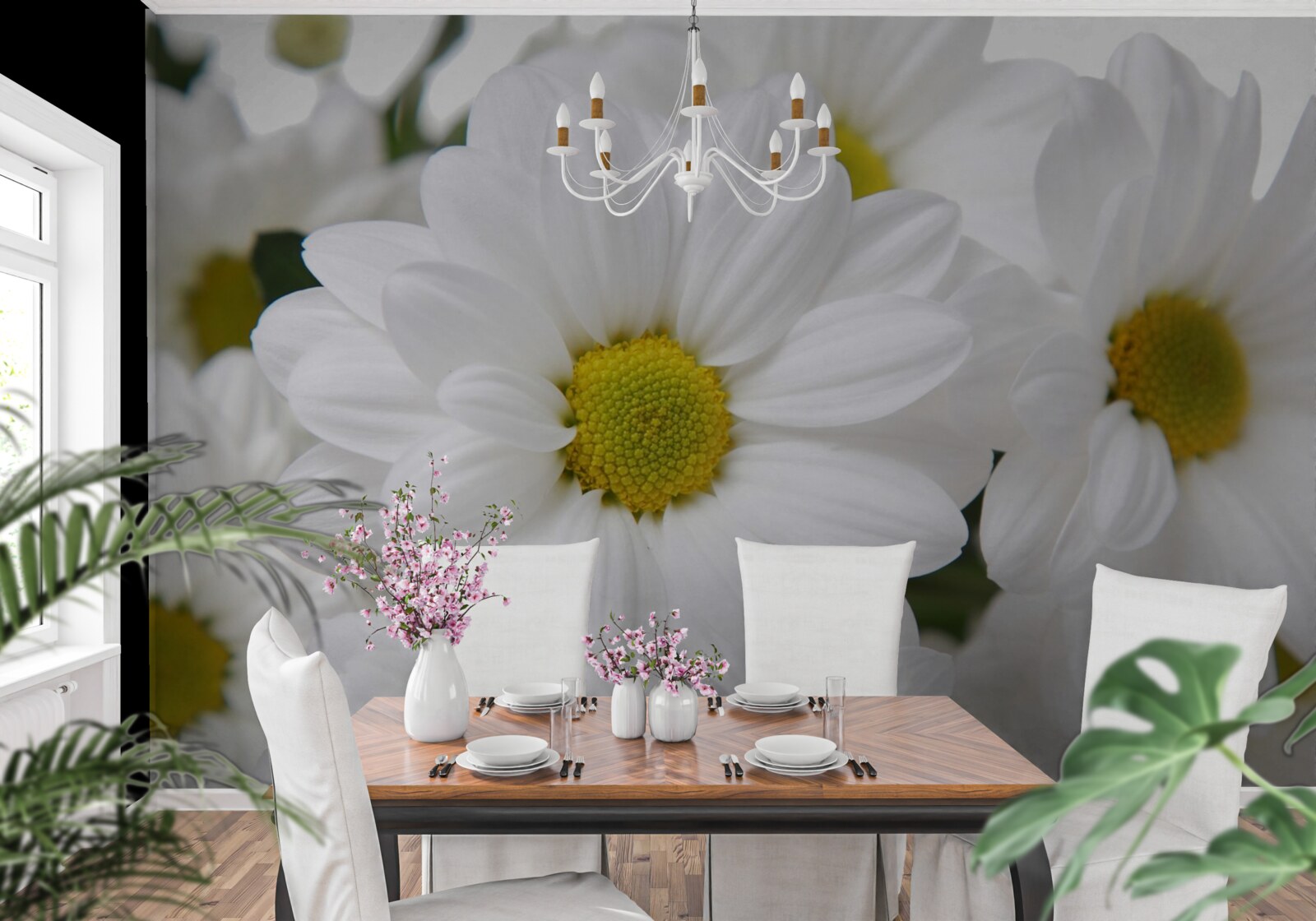 Fototapeta zloženie snehovo bielych chryzantém