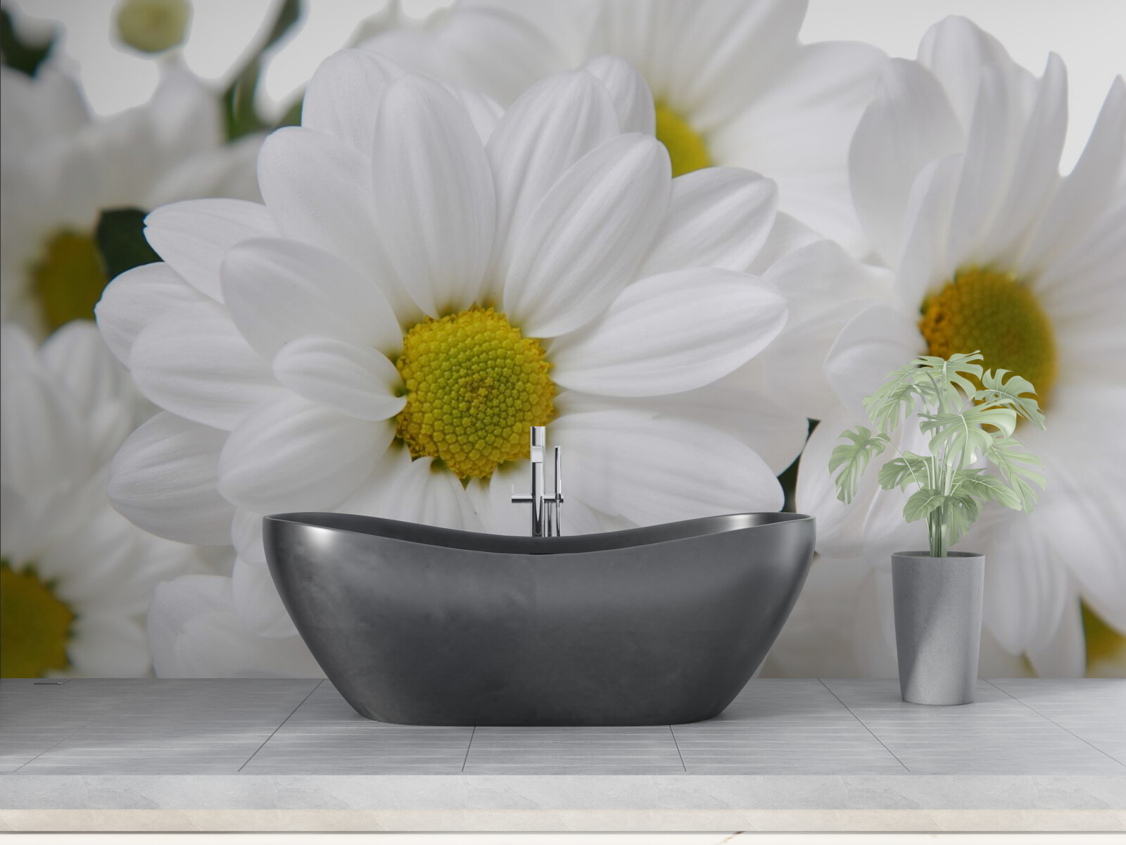 Fototapeta zloženie snehovo bielych chryzantém