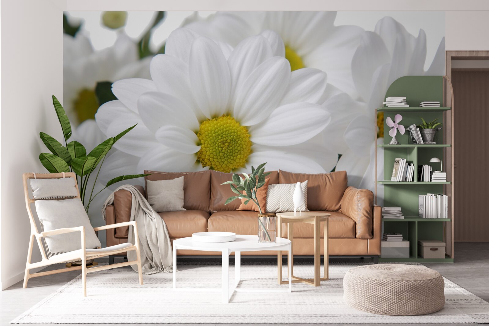 Fototapeta zloženie snehovo bielych chryzantém