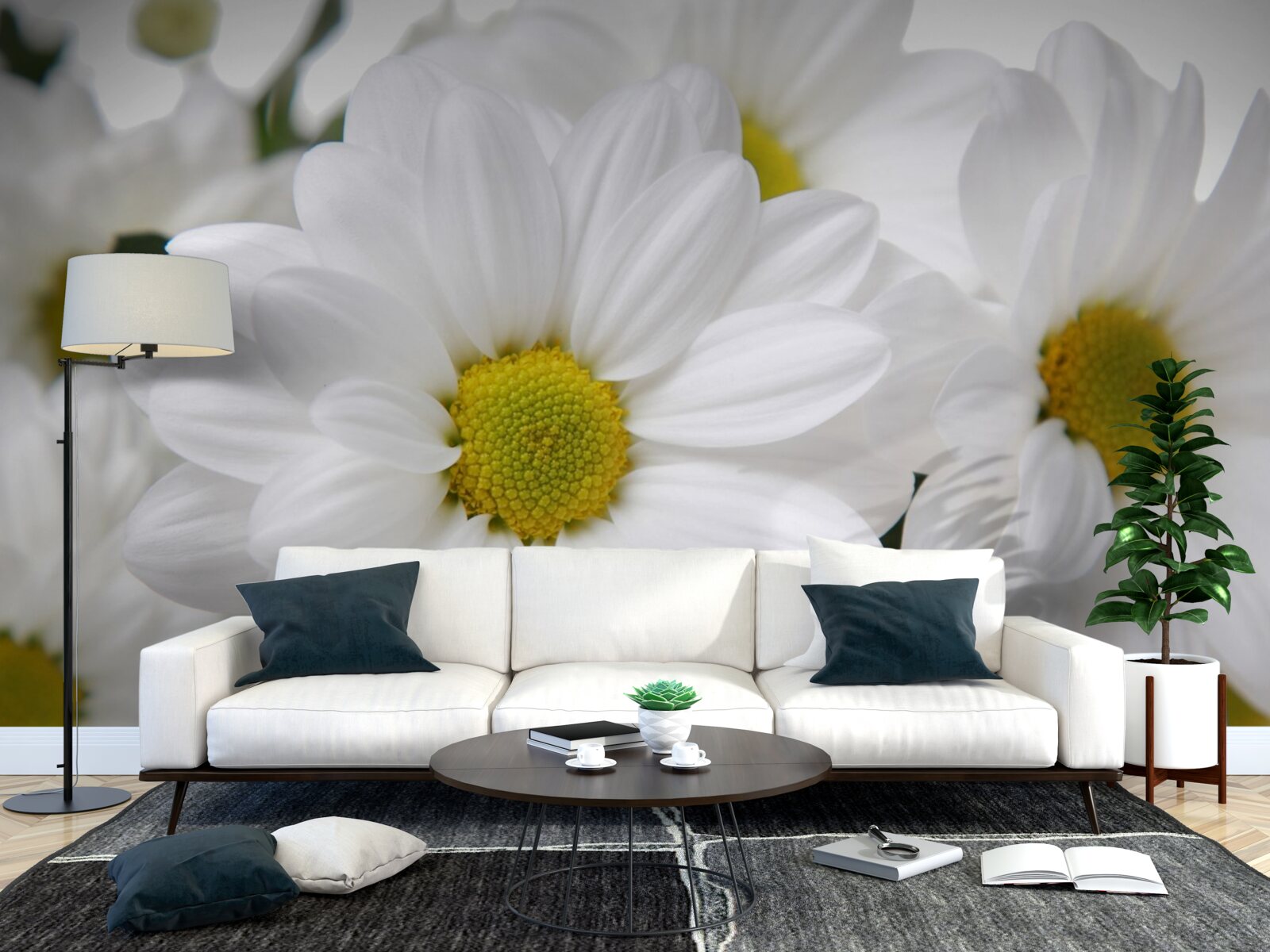 Fototapeta zloženie snehovo bielych chryzantém