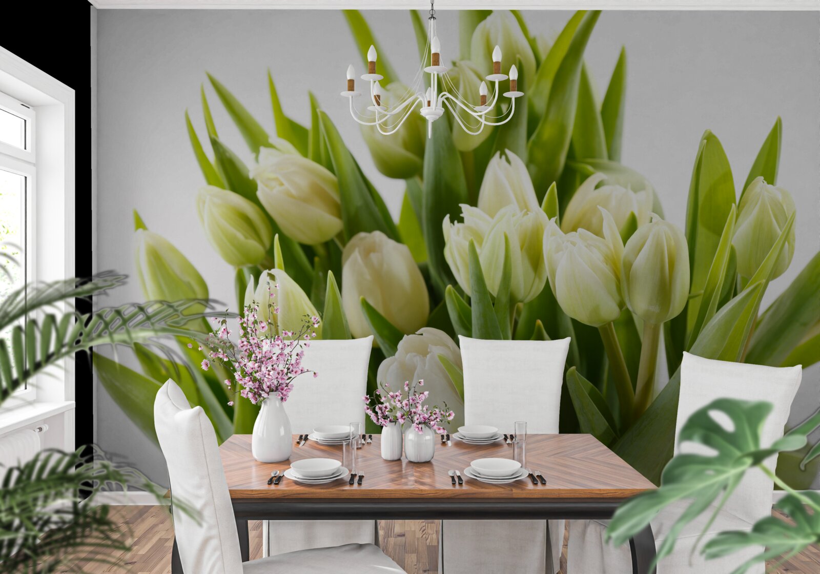 Fototapeta sada snehovo bielych tulipánov