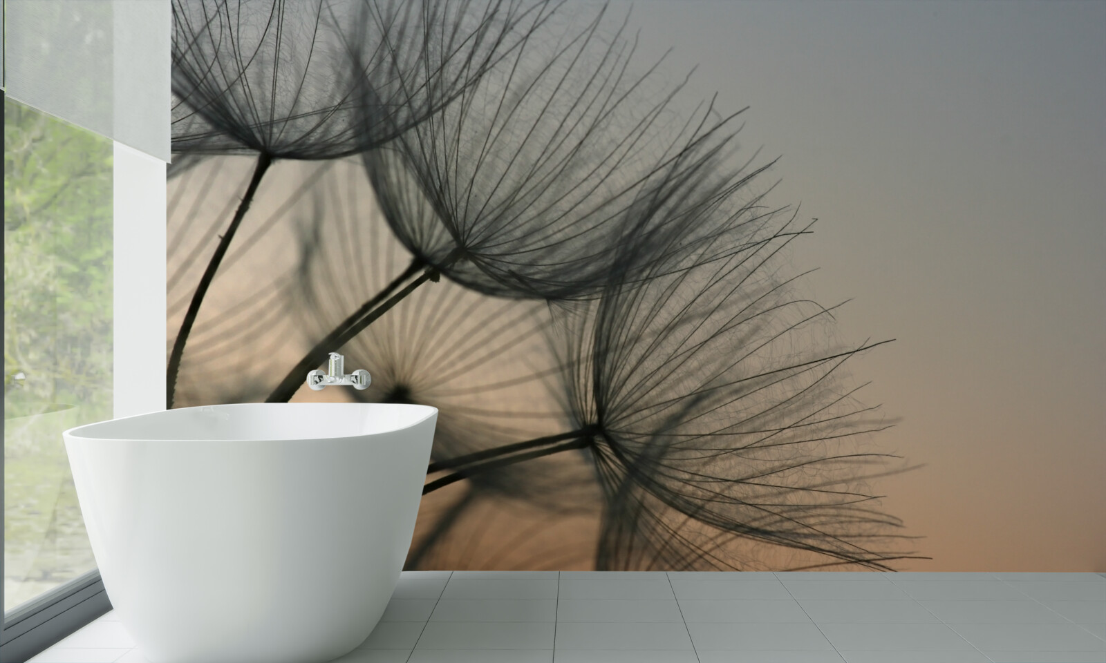 Fototapeta západ slnka nad púpavami