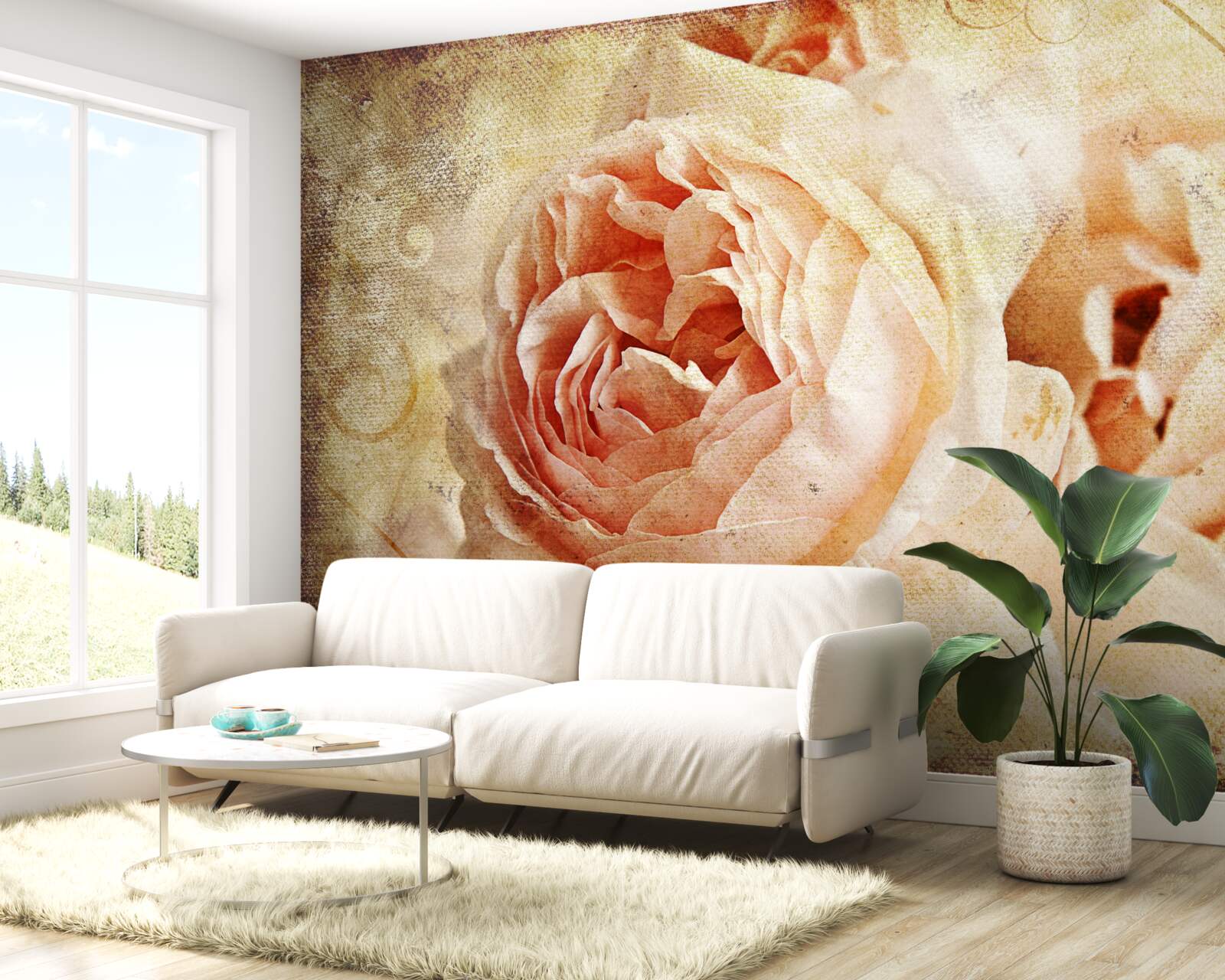 Fototapeta vintage ruže