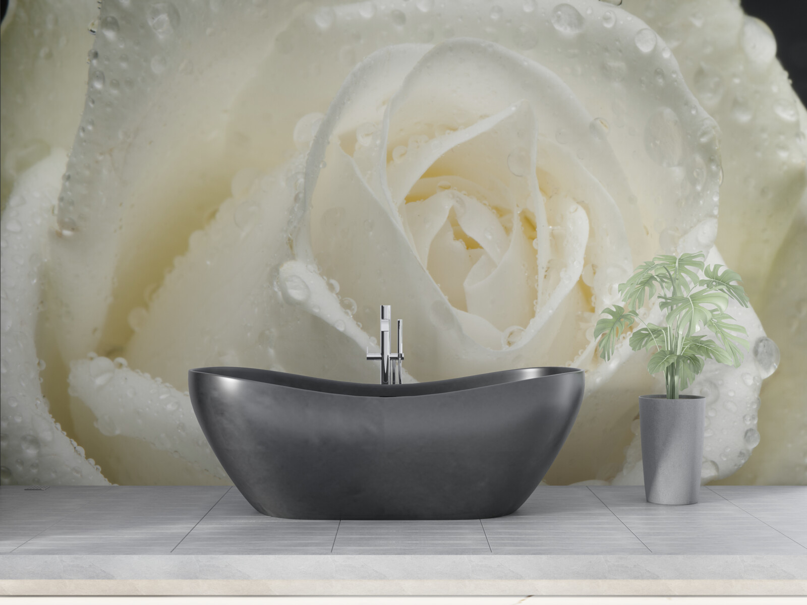 Fototapeta biela ruža pokrytá rannou rosou