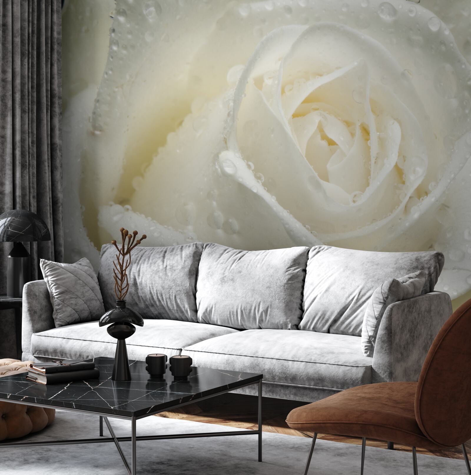 Fototapeta biela ruža pokrytá rannou rosou