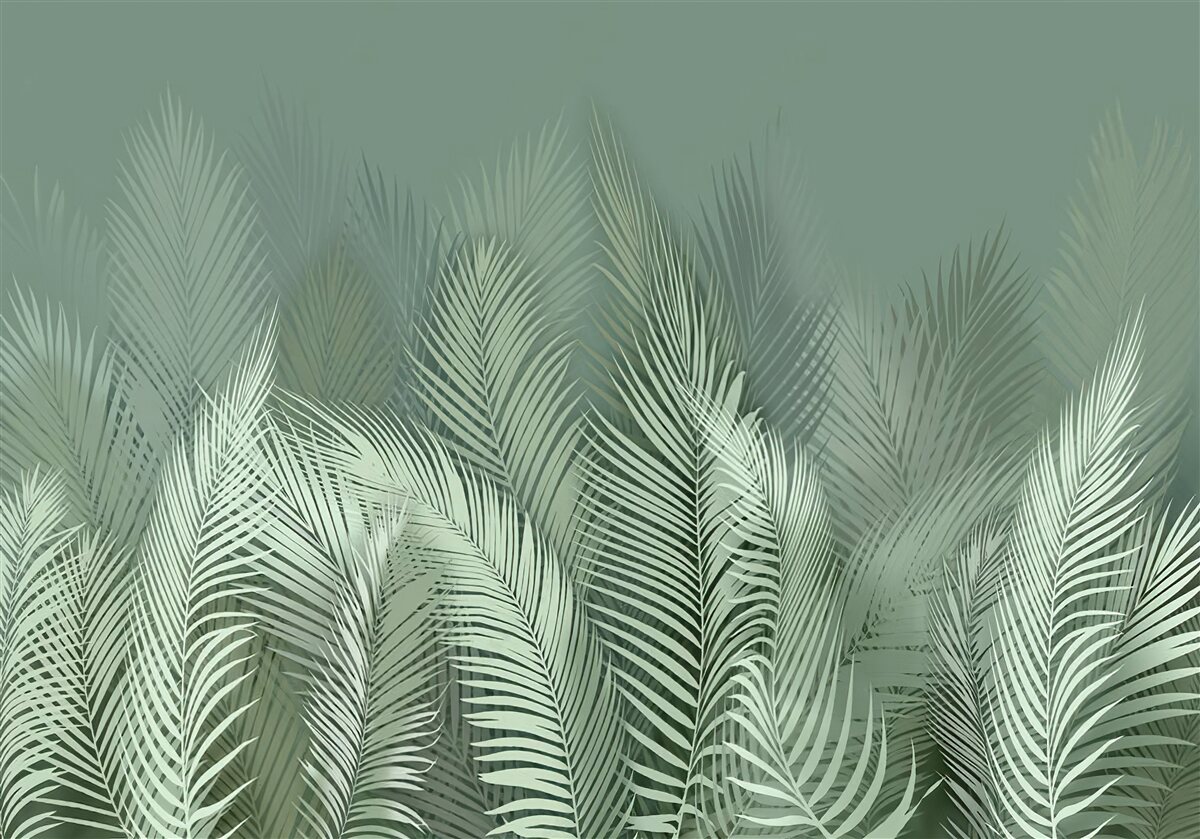 Fototapeta zelené palmové listy